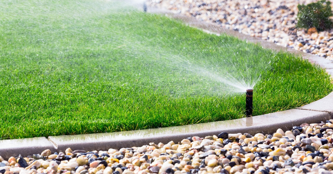 Summer mowing: Smart lawn watering strategies for large properties